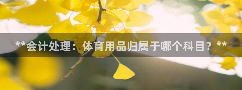 欧陆娱乐客服人工电话:**会计处理:体育用品归属于哪个科目?