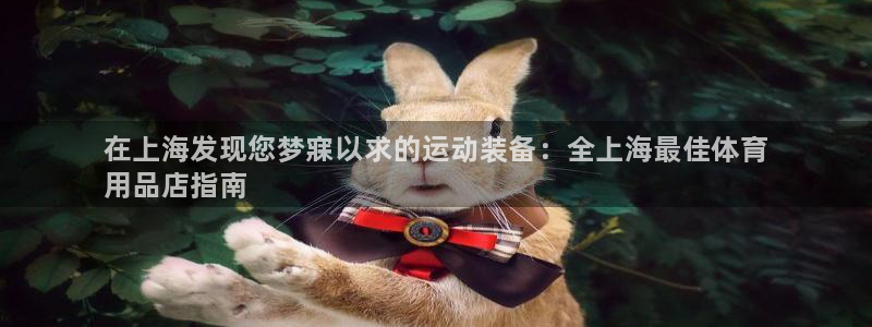 欧陆娱乐平台登陆地址是什么:在上海发现您梦寐以求的运动装备: