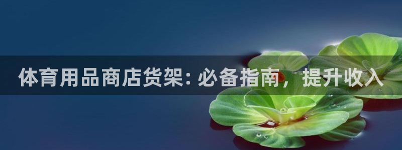 欧陆娱乐打什么方案:体育用品商店货架: 必备指南,提升收入