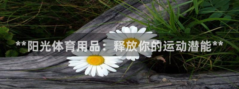 欧陆娱乐注册代理多少钱一年:**阳光体育用品:释放你的运动潜