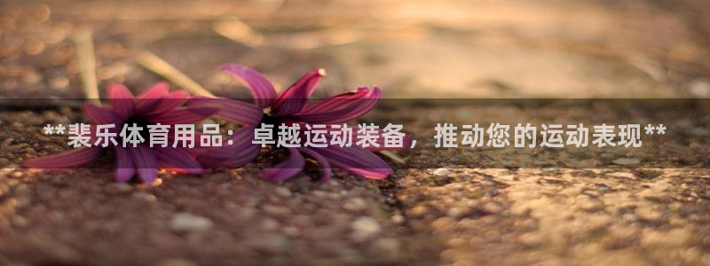 欧陆娱乐的故事:**裴乐体育用品:卓越运动装备,推动您的运动