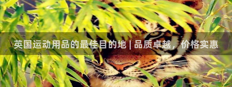 欧陆娱乐平台咋样赚钱快:英国运动用品的最佳目的地 | 品质卓