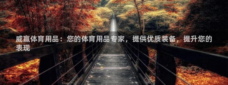 欧陆娱乐是那个旗下的品牌公司:威赢体育用品:您的体育用品专家