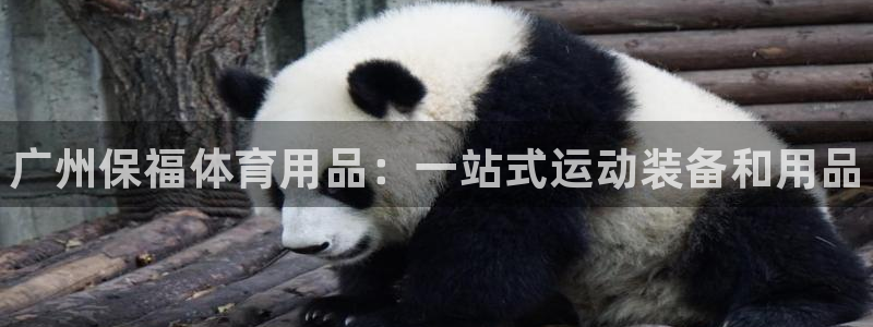 欧陆娱乐注册链接安全吗:广州保福体育用品:一站式运动装备和用